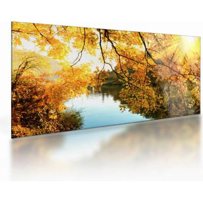 Sklenený obraz - Jesenný strom, jednodielne 100x50 cm na skle