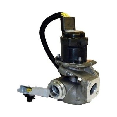 AGR - Ventil MAGNETI MARELLI EV031 EV031