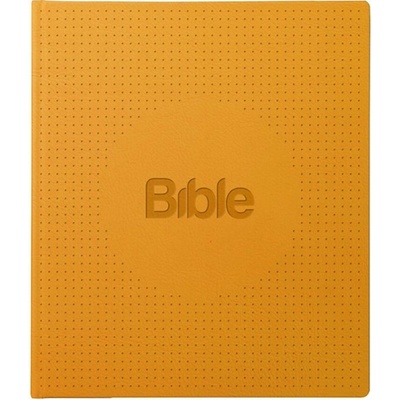 Bible21 ilumina - Alexandr Flek
