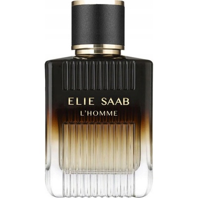 Elie Saab L'Homme Intense toaletní voda pánská 100 ml