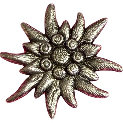 Vysoké Tatry Odznak Plesnivec POSTRIEBRENÝ Handmade