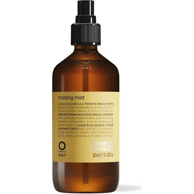 Oway Molding Mist 240 ml