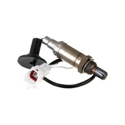 DELPHI Lambda sonda ES1095612B1