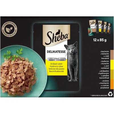 Sheba Delikatesa v želé s kuracím morčacím kačacím hydinovým mäsom v želé 12 x 85 g