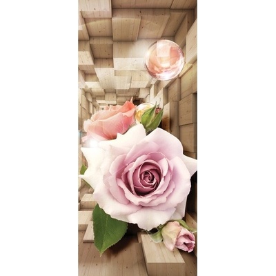 Preinterier Fototapeta - DV0644 - samolep. fólia - 91cm x 211cm
