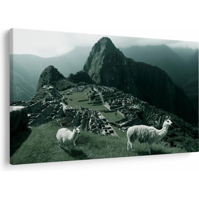 Obraz - Lamy na Machu Picchu v Peru, jednodílný 120x80 cm