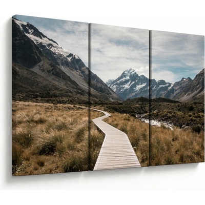 Obraz - Chodník v údolí hory Mt. Cook, třídílný 120x80 cm