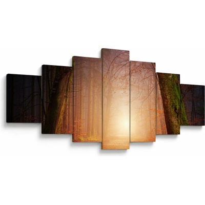 Obraz jesenného lesa v hmle, sedemdielne 210x100 cm