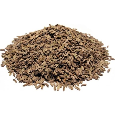 Bylík Fenykl plod 1000 g