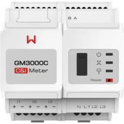 GoodWe Smart GM3000C