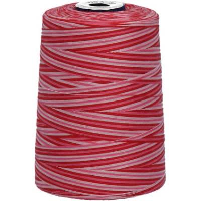 Polyesterová nit žíhaná Viga 80 multicolor - 9044
