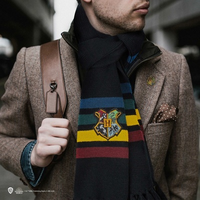Cinereplicas Harry Potter šála Bradavice