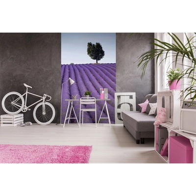 Dimex MS-2-0088 vliesová fototapeta na zeď Levandulové pole rozměry 150 x 250 cm