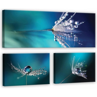 Consalnet Obraz na plátně: Pampeliška v modré - set 1ks 80x30 cm a 2ks 37,5x24,8 cm