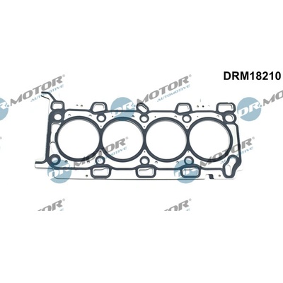 DR.MOTOR AUTOMOTIVE Tesnenie hlavy valcov DRM18210