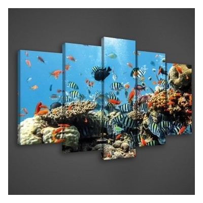 Obraz na plátne viacdielny - OB3435 - Podmorský svet 100cm x 60cm - S17
