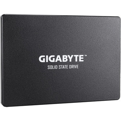 Gigabyte 256GB, GP-GSTFS31256GTND