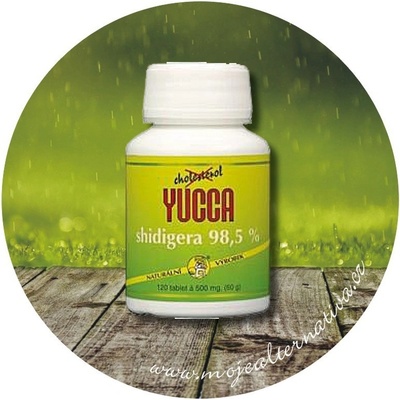 Hemann Yucca shidigera 98,5% 120 tablet – Hledejceny.cz