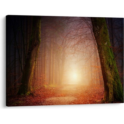 Obraz podzimního lesa v mlze, jednodílný 70x50 cm