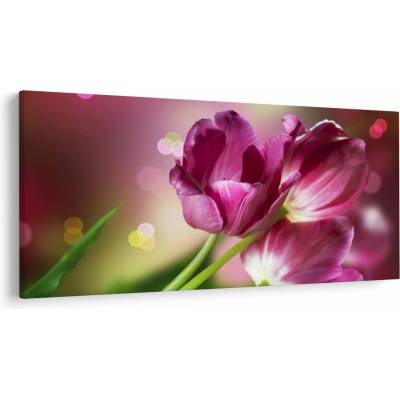 Obraz ružových tulipánov, jednodielne 250x125 cm