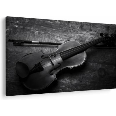 Obraz - Viola, jednodielne 150x100 cm