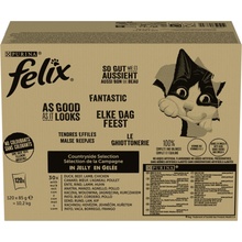 PURINA Felix Countryside Selection Box 120 x 85 g
