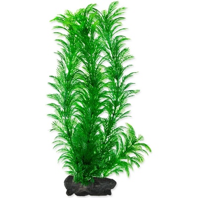 Tetra Green Cabomba 30 cm