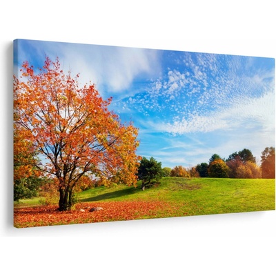 Obraz - Podzimní krajina, jednodílný 120x80 cm