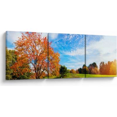 Obraz - Jesenná krajina, trojdielne 90x30 cm