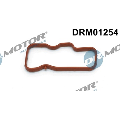 DR.MOTOR AUTOMOTIVE Tesnenie kolena sac. potrubia DRM01254