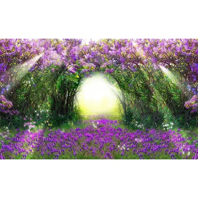 Preinterier FT3097 Fototapeta na stenu Fialový les vlies 104cm x 70cm
