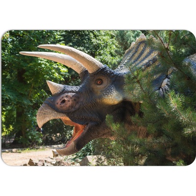 PokojovaDekorace.cz prostírání 041 Dinosaurus 43x30cm