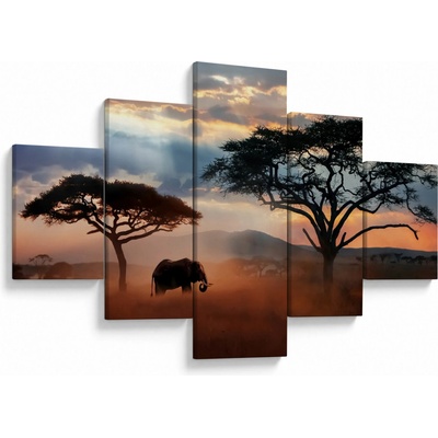 Obraz - Národný park Serengeti, Tanzánia, Afrika, päťdielne 125x70 cm