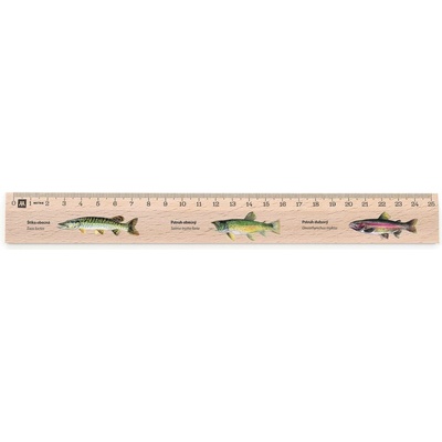 Metrie Didakt-M07 Dřevěné pravítko s potiskem S motivem ryb 25 cm
