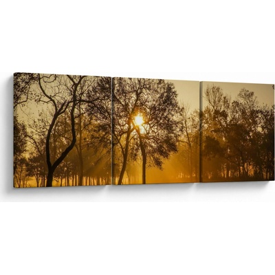 Obraz východu slnka, trojdielne 120x40 cm