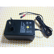 Ansmann ALCS 2 - 24 V