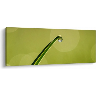 Obraz kapky vody na trávě, jednodílný 100x40 cm
