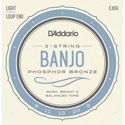 D'addario EJ69