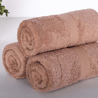 XPOSE Froté uterák VERONA 3ks - hnedá 30x50 cm