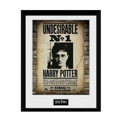 Harry Potter Zarámovaný plakát - Nežádoucí č. 1 – Hledejceny.cz