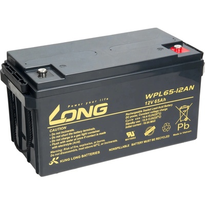 Long WPL65-12AN-M 12V 65Ah