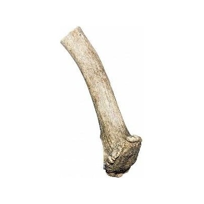 Sirius paroží dančí 100 g