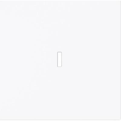 Busch-Jaeger 2CKA001751A3361