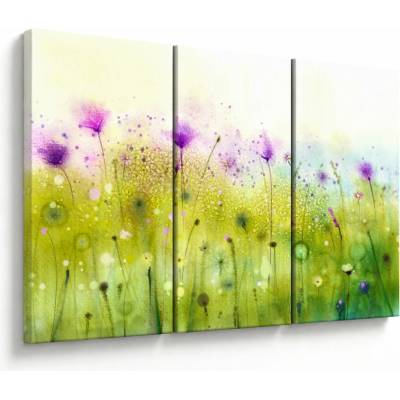 Obraz - Lúčne kvety, trojdielne 120x80 cm