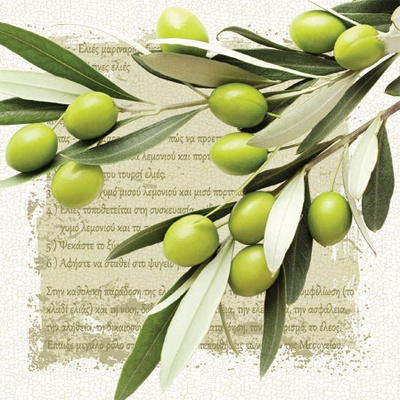 PAW servítky Greek Olives 33x33cm
