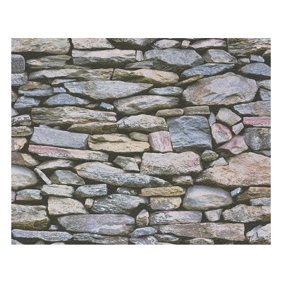 A.S. Création 958201 - Papierová tapeta Dekora Natur 6 rozmery 0,53 x 10,05 m