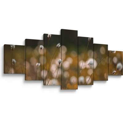 Obraz - Louka s cottongrass N⁰2, sedmidílný 210x100 cm