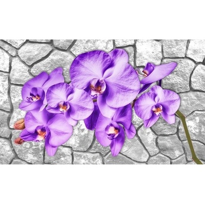 Preinterier FT2965 Fototapeta na stenu Fialové kvety vlies 104cm x 70cm