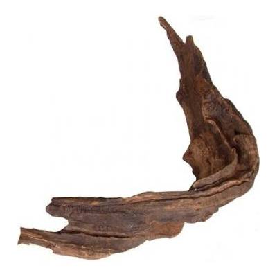 Tommi kořen Desert Driftwood L 40-50 cm