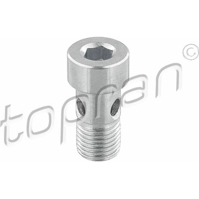 TOPRAN Dutá skrutka pre turbo 118 522